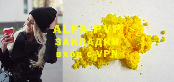 стафф Бородино