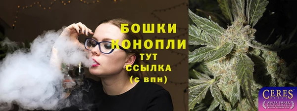 стафф Бородино