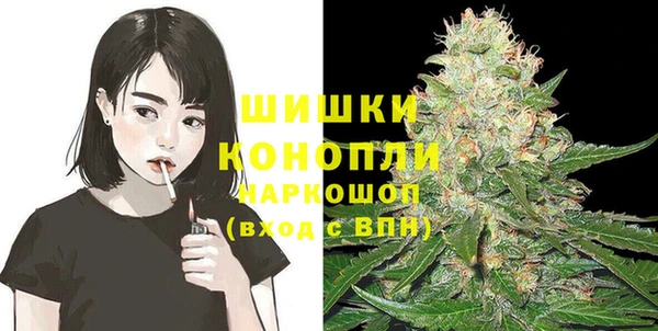 стафф Бородино