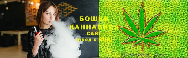 сатива Бугульма
