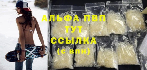 стафф Бородино