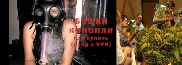 стаф Бронницы
