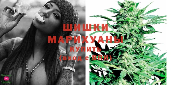 стаф Бронницы