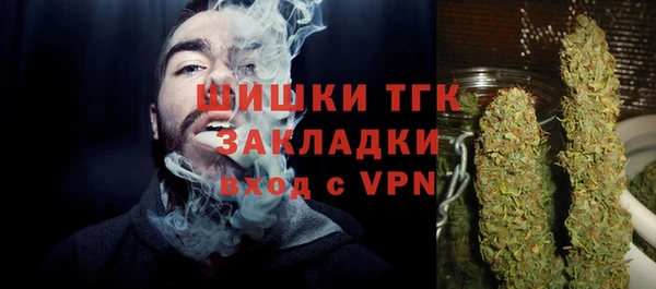 стафф Бородино