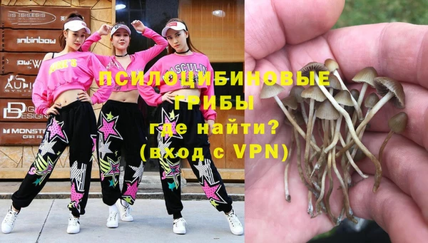 стафф Бородино