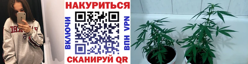 Каннабис Bruce Banner  kraken   Нижний Новгород 